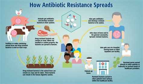 What Is Antimicrobial Resistance Amr Public Health Notes