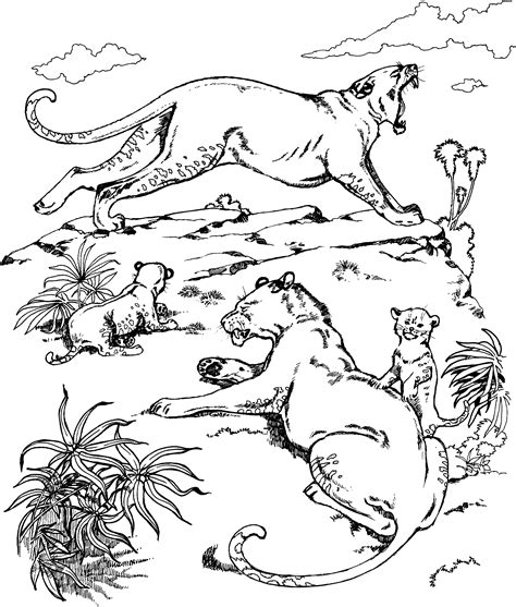 Free Printable Cougar Coloring Pages Printable Templates