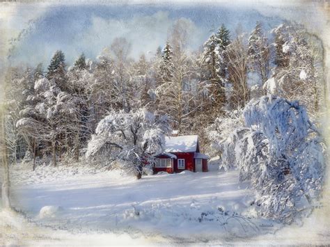 Beautiful Snow Scenes 2 A Gallery On Flickr