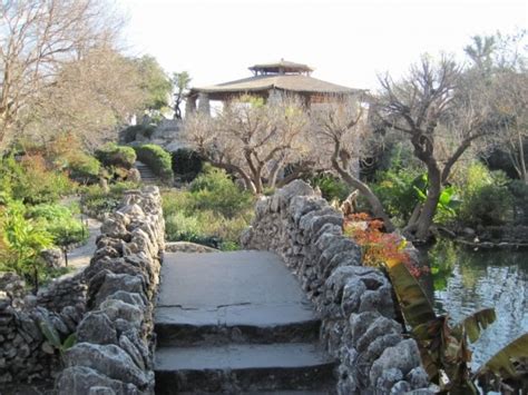 Tea garden and the echo point are the main attraction in munnar. San Antonio's Japanese Tea Garden | SoloFriendly.com