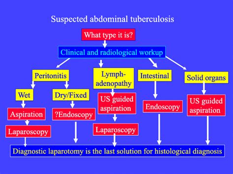 The Diagnostic Algorithm Of Abdominal Tuberculosis Depends On
