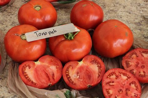 Tonopah Tomato Treated Seed Seedway