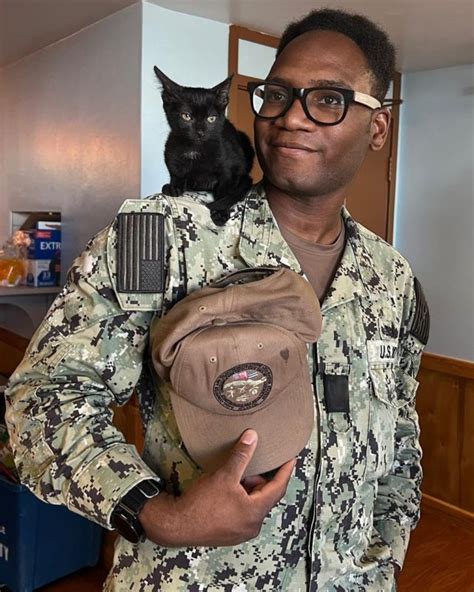 Operation Git Meow Seeks To Save Stray Cats At Navys Guantanamo Bay