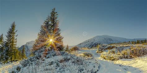 Beautiful Winter Panorama Stock Photo Image Of Cold 106611310