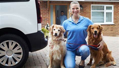Prices depending on the sitter's service area relative to the pet owner, and whether the pet needs to be picked up and dropped off. Pet Sitting Services: 13 Things to Keep in Mind Before ...