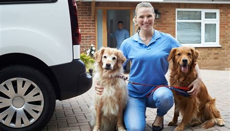 In home pet care service is a great alternative to boarding your pets at a kennel when you go away. Pet Sitting Services: 13 Things to Keep in Mind Before ...