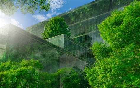 5 Tips To Create The Perfect Eco Friendly Office Building