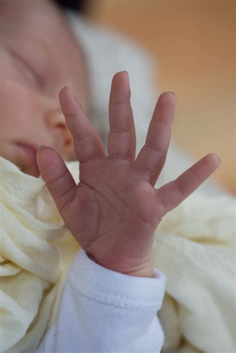Ten Days Old Baby Hands Lawrence Rook