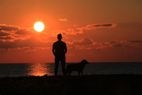 Silhouette Of Man And Dog At Sunset 1864666 Stock Photo At Vecteezy