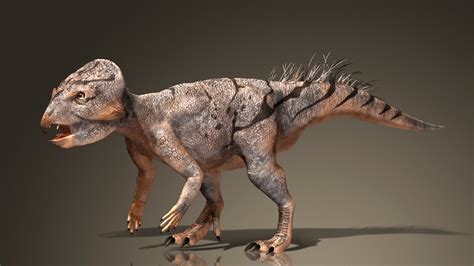Un Dinosaurio Cornudo Pariente De Triceratops Andaba Sobre Dos Patas Invdes