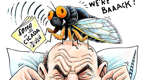 Song Of The Cicada Todays Toon