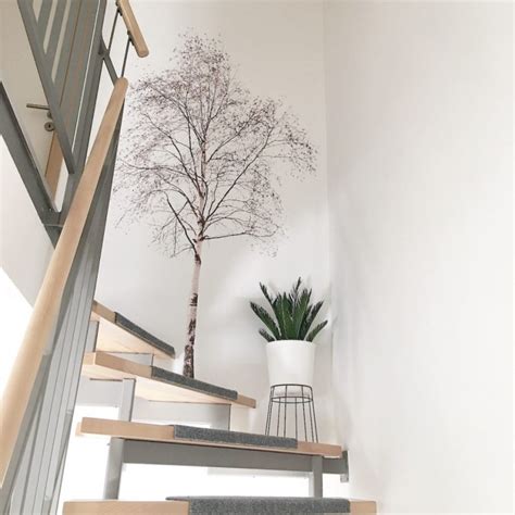 Polsterbett komplett blain bett 180x200 beige lattenrost matratzen expendio polsterbett komplett blain bett 180x200 beige lattenrost matratzen. Wand Deko Ein Baum An Der Wand Und Palmenblätter Auf Dem ...