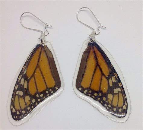 Real Butterfly Wing Earrings Monarch Butterfly Earrings Etsy