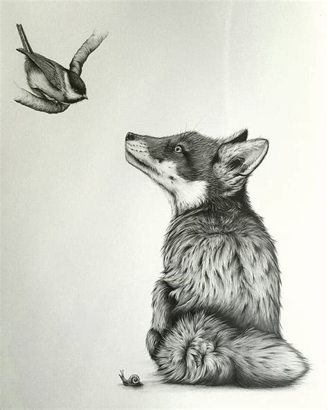 Detailed Black And White Wildlife Drawings Animal Illustration Art
