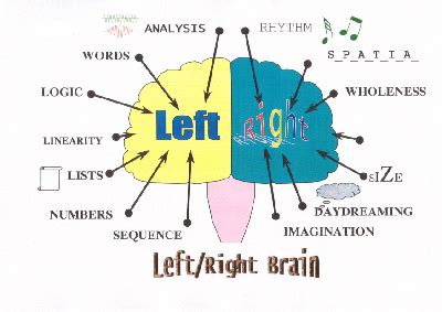 Alternative Assessment = Fair Assessment: Left Brain vs Right Brain