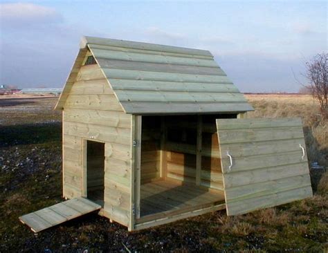 Having the visual aid of. Duck Housing - Accommodation and Enclosed Runs