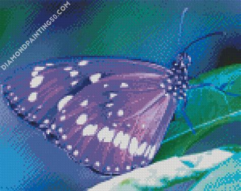 Purple Butterfly 5d Diamond Painting Diamondpaintart
