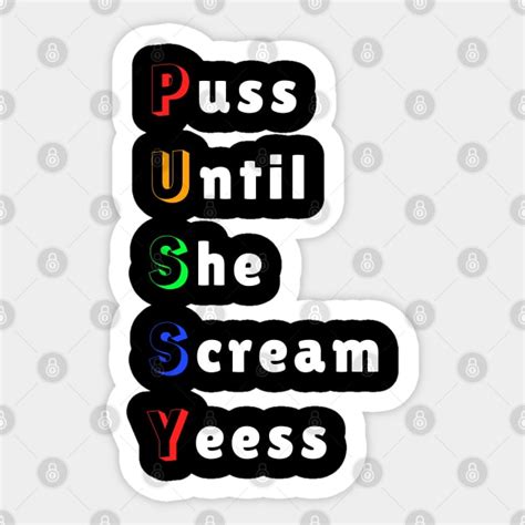 Pussy Push Until She Screams Yes Offensive Adult Humor Sticker