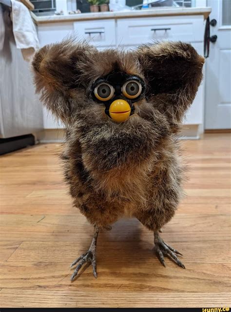 Furby Memes Best Collection Of Funny Furby Pictures On Ifunny