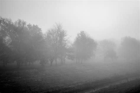 Foggy Day Flickr