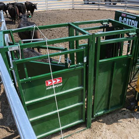 Not All Cattle Chutes Are Made Equal Heres What To Look For Agdaily