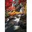 Amazing Waterfall  Nature Photos Creative Market