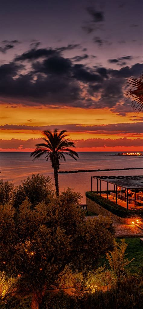 Cyprus Night Palm Trees Sea Clouds Lights 1242x2688 Iphone Xs Max
