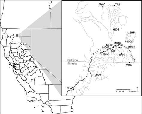 Map Of Redband Trout Sampling Locations In The Mccloud River