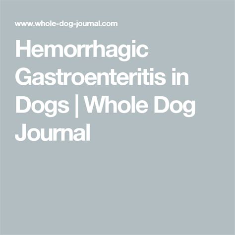 Hemorrhagic Gastroenteritis In Dogs Whole Dog Journal