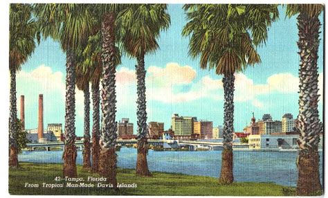 Linen Postcard From Tropical Man Made Davis Islands Tampa Florida