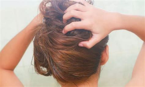 While your end goal may be blonde hair, it can often take quite a few dye sessions to achieve your desired result. How to Lighten Dark & Brown Hair without Bleach-No Damage ...