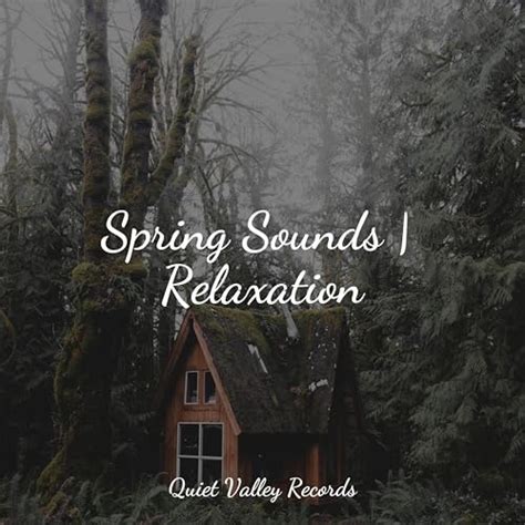 Play Spring Sounds Relaxation By Sounds Of Nature Relaxation Rain And Nature And Relaxation