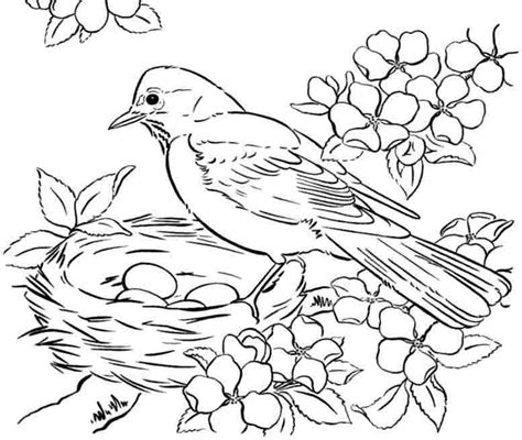 Coloring Pages Birds In Winter Png Animal Coloring Pages