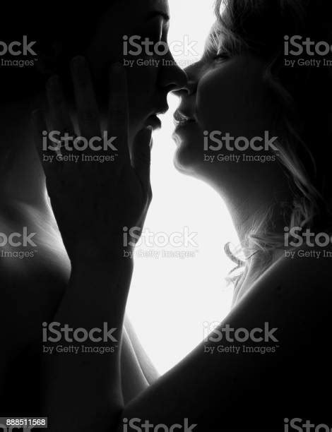 열정적인 장면에서 서로 키스 하는 두 아름 다운 여자의 실루엣 흑인과 백인 총 편견 없이 개념 사랑 관능에 대한 스톡 사진 및 기타 이미지 Istock