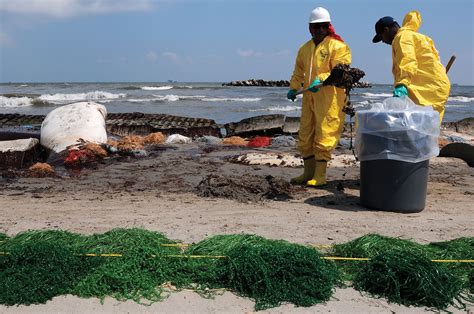 Deepwater Horizon Oil Spill Cleanup Environmental Impact Bp