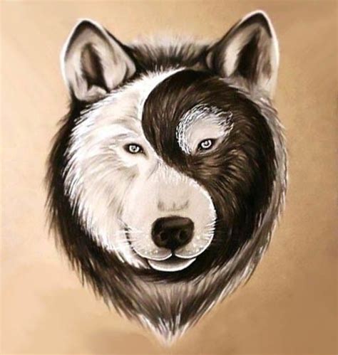 Yin Yang Wolf Symbolism And Origins Artofit