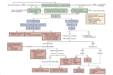 The Clinical Approach To Hypokalemia Source Brenner And Rectors The