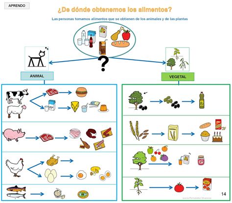 Ésta nos puede ayudar en el proceso de enseñanza y aprendizaje para que el estudiante pueda entender de forma visual ciertos temas utilizando ideas, conceptos, frases, etc., de una forma. Origen de los alimentos | Alimentos preescolar, Mapa ...