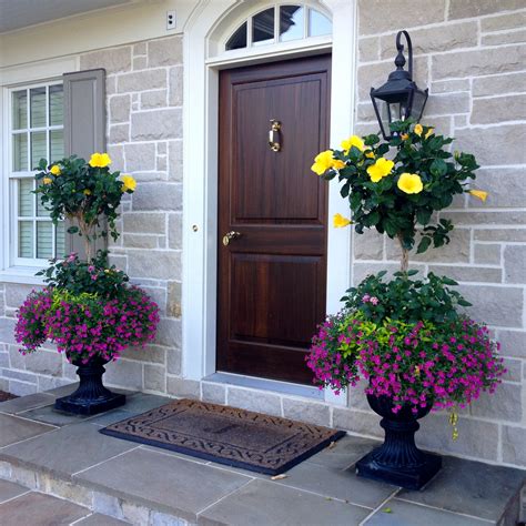 They're full of character and personality. Hibiscus planters | Porch flowers, Front porch planters ...