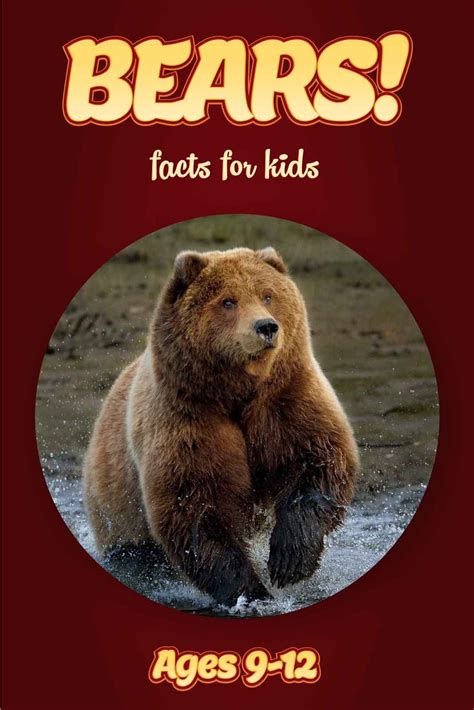 Bear Facts Kids Non Fiction Book Ages 9 12 Clouducated