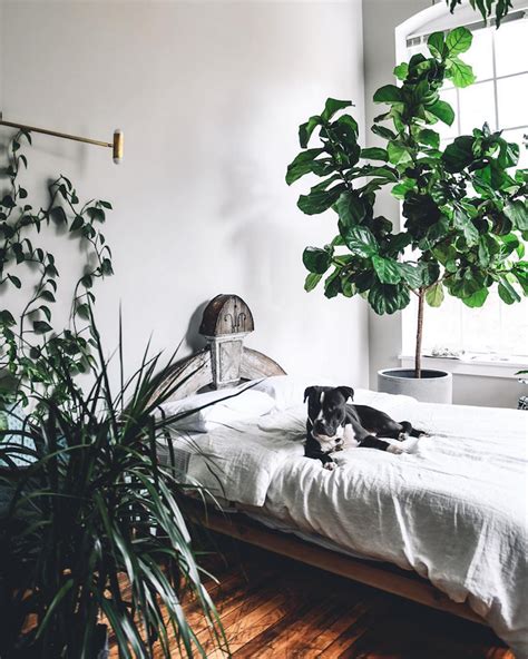 My Scandinavian Home An Incredible Loft Filled With Plants