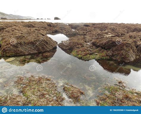 Tide Pool With Layered Rock And Pebbles Stock Photo Image Of Beach Seaweed
