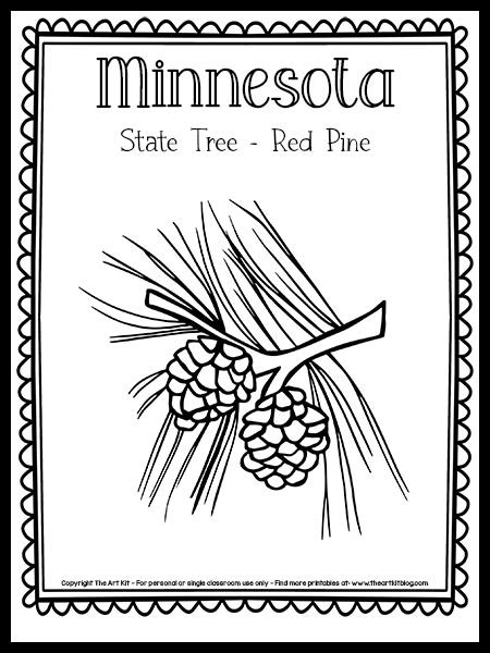 Minnesota State Tree Coloring Page Red Pine Free Printable The