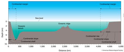 Solved 14 The Oceanic Trench In The Above Topographic Profile