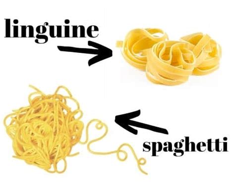 Know The Difference Between Spaghetti And Linguine Pastaworld Net My Xxx Hot Girl