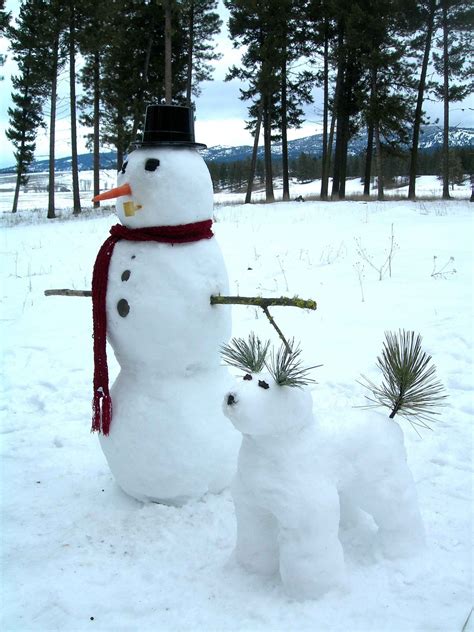 Snowman And Snowdog Snowmen Photo 13384498 Fanpop