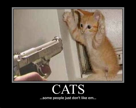 Cats Demotivational By Neonvictorian On Deviantart