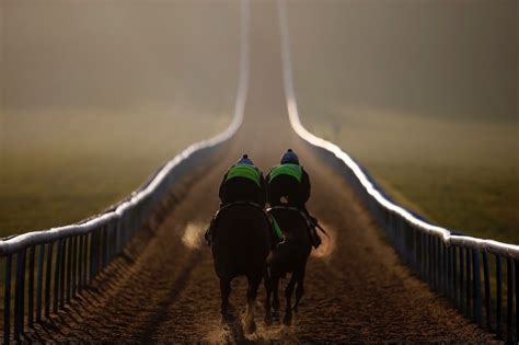 Warren Hill Gallop Newmarket England Getty Images Race Horses