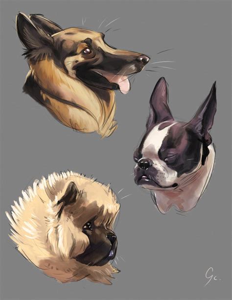 Мои закладки Рисунки животных Кошачий арт Собака рисунки