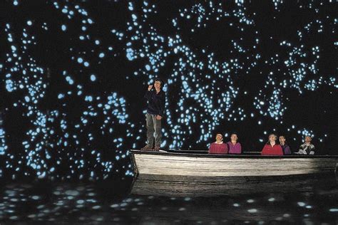 Glowworms Create Spectacular Starry Night Sky In A New Zealand Cave